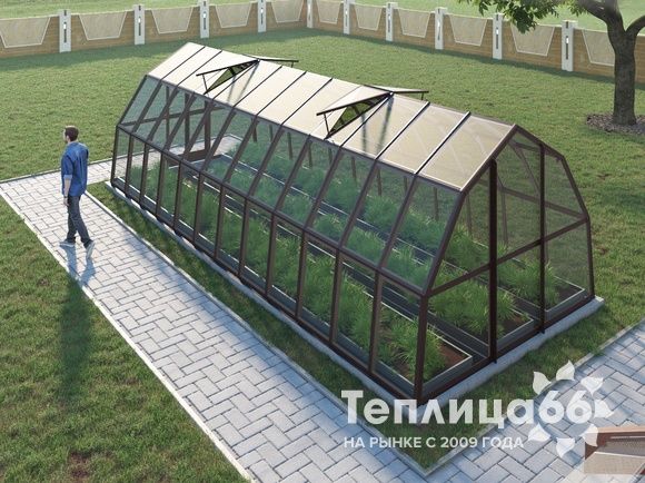 Теплица Рада Исеть под стекло 3х8 метров, коричневая